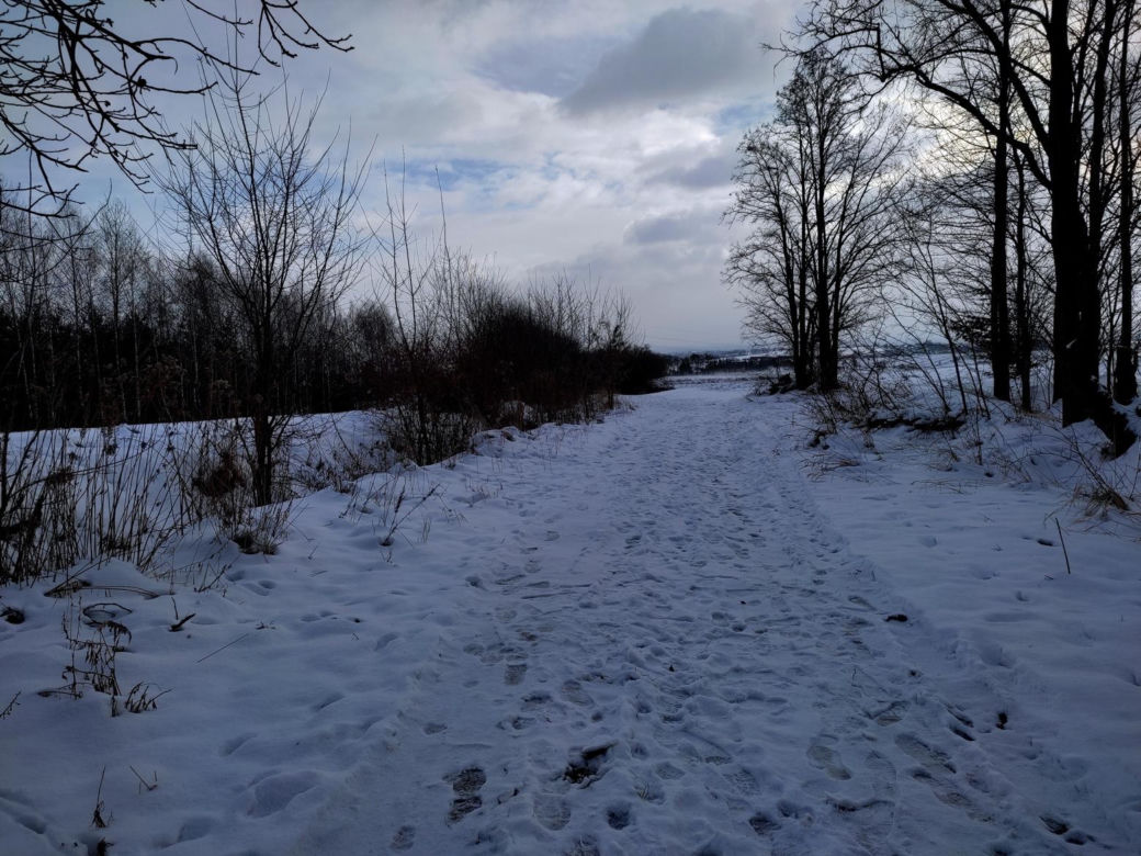 Tu odnaleziono zaginioną Ewę