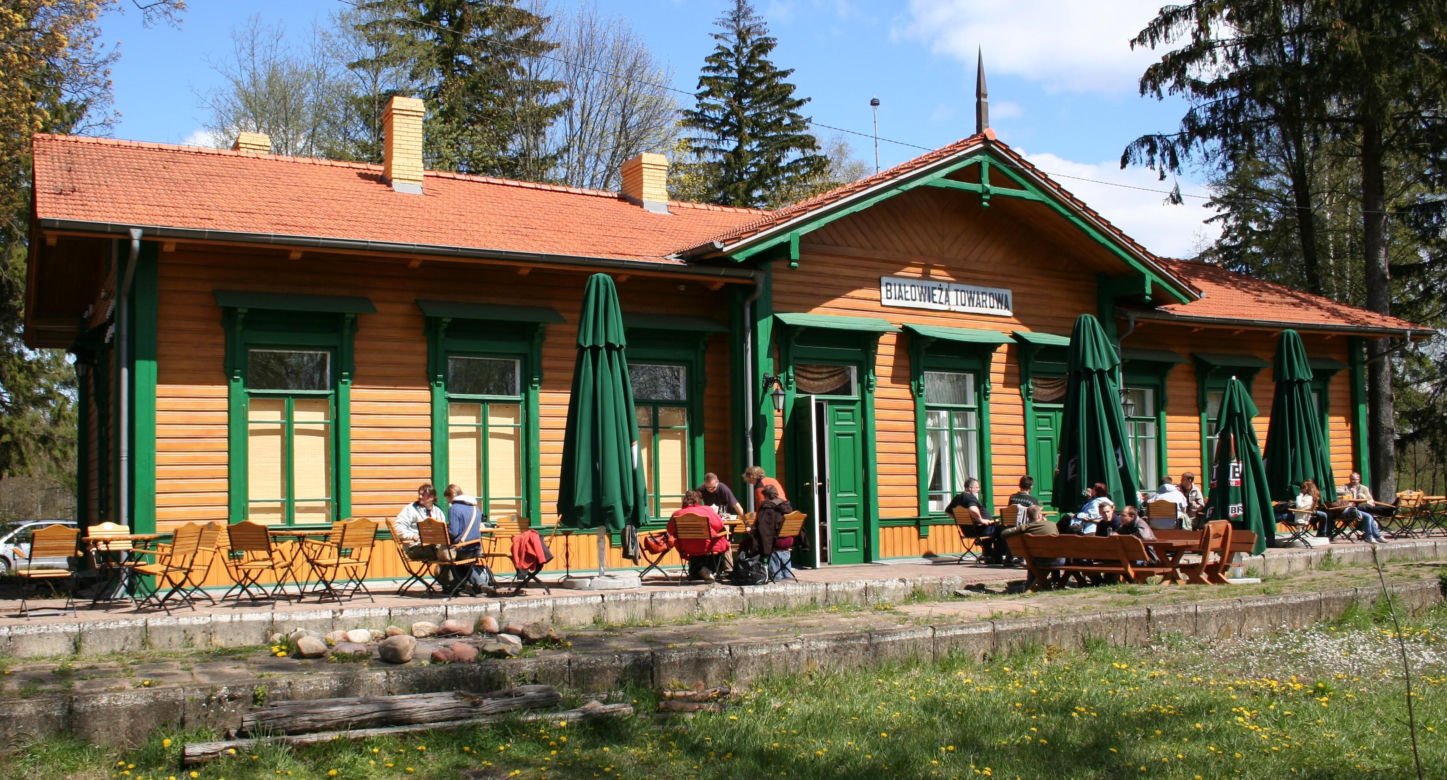 Białowieża
