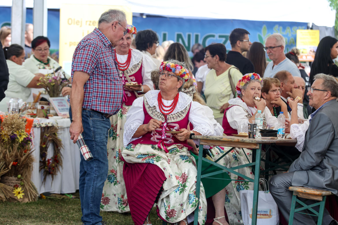 Dożynki w Woźnikach. Dożynki Województwa Śląskiego