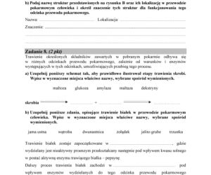 Matura 2018 z biologii. Poziom podstawowy - arkusze CKE