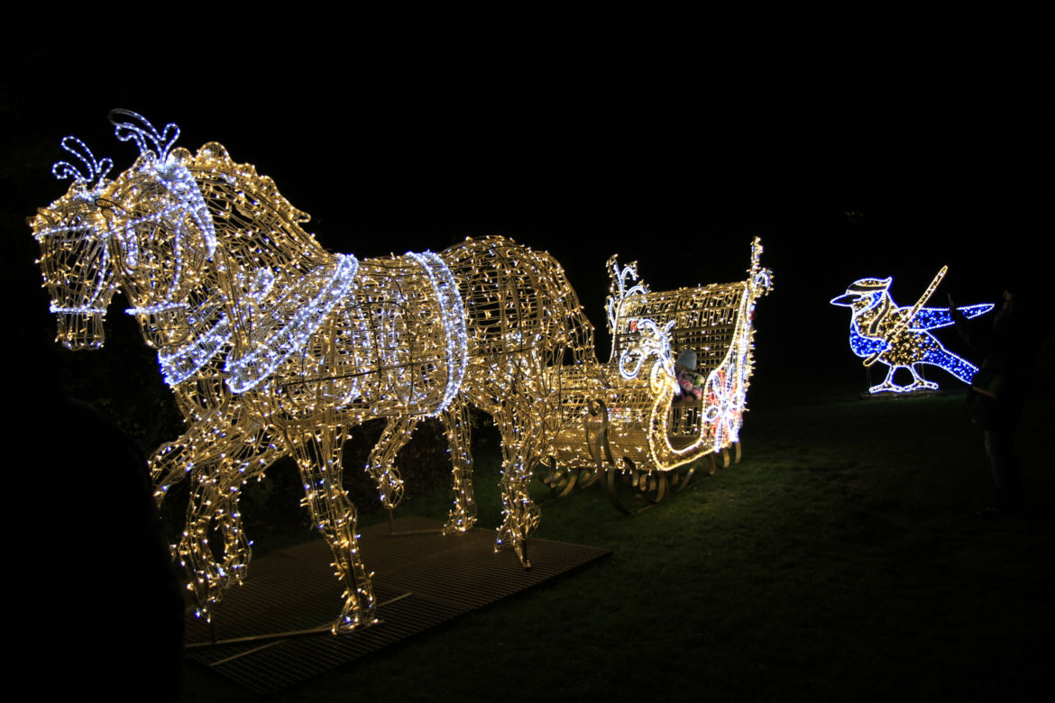 Park iluminacji „Tajemniczy Ogród” w Lublinie