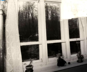 Sprzedali dom i zginęli. Lubelskie Archiwum X wraca do sprawy ze Zwierzyńca