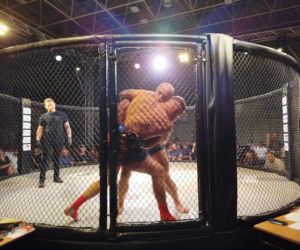 Fotorelacja z Gali Sportów Walki Taurus Fight Arena 2026 w Siedlcach