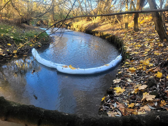 Na Białusze w Krakowie pojawiły się łapacze śmieci