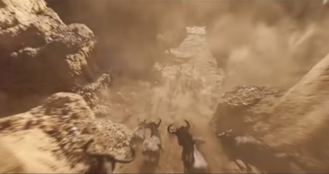 Król Lew - oryginał a nowa wersja filmu