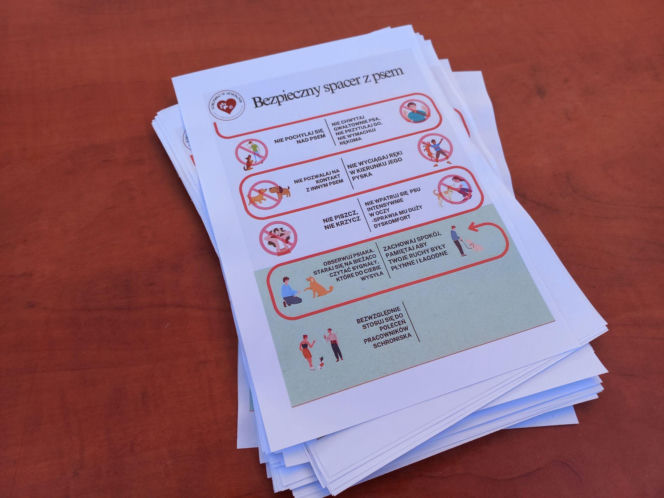 "Bieg + 4 Łapy" za nami. Wyjątkowy dzień w schronisku w Henrykowie koło Leszna