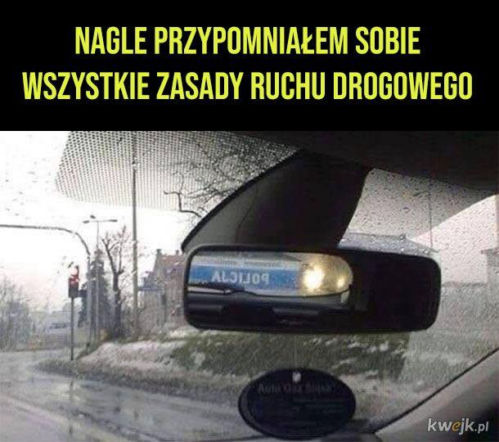 Święto Policji wypada 24 lipca. Mundurowi odbiorą życzenia, a internet już szykuje swoje memy