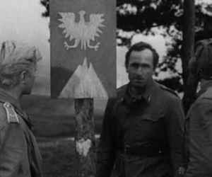 Najlepsze teksty Gustlika. Sprawdź w quizie, czy możesz się nazwać fanem serialu Czterej Pancerni i pies