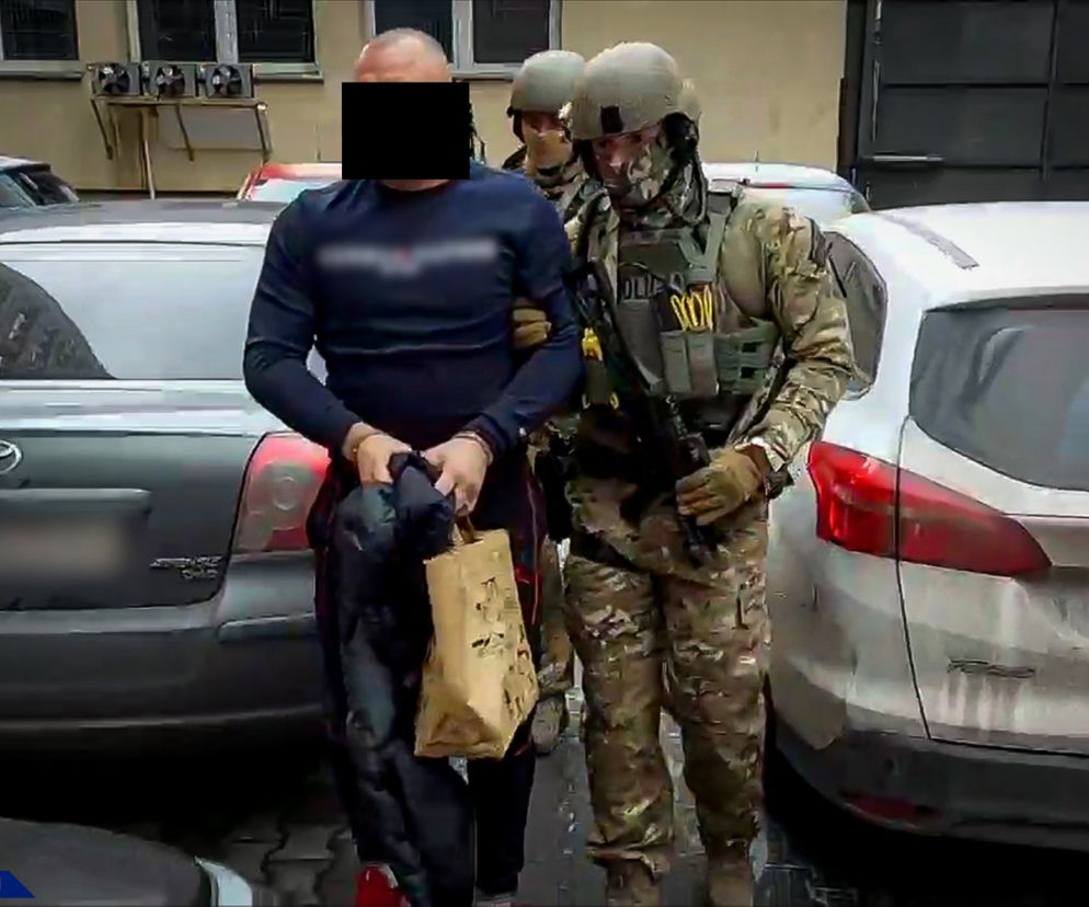 Spektakularna akcja CBŚP w Toruniu i nie tylko. Tyson wśród zatrzymanych
