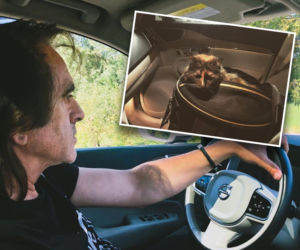 Witold Paszt jeździ Volvo XC90