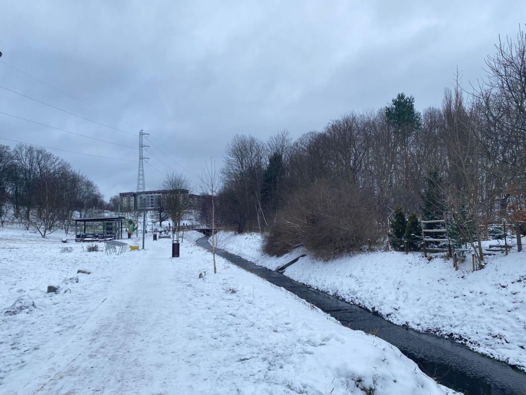Zimowa aura w Zielonej Górze w 2025. Jak długo się utrzyma?