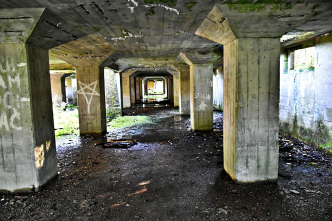 Tajemnicza podziemna hala w woj. warmińsko-mazurskim. Nikt nie wie, co tam się znajdowało