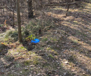 Światowa prasa pisze o śmierci Magdaleny Majtyki! Mówią o tajemnicy