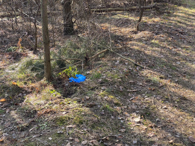 Światowa prasa pisze o śmierci Magdaleny Majtyki! Mówią o tajemnicy