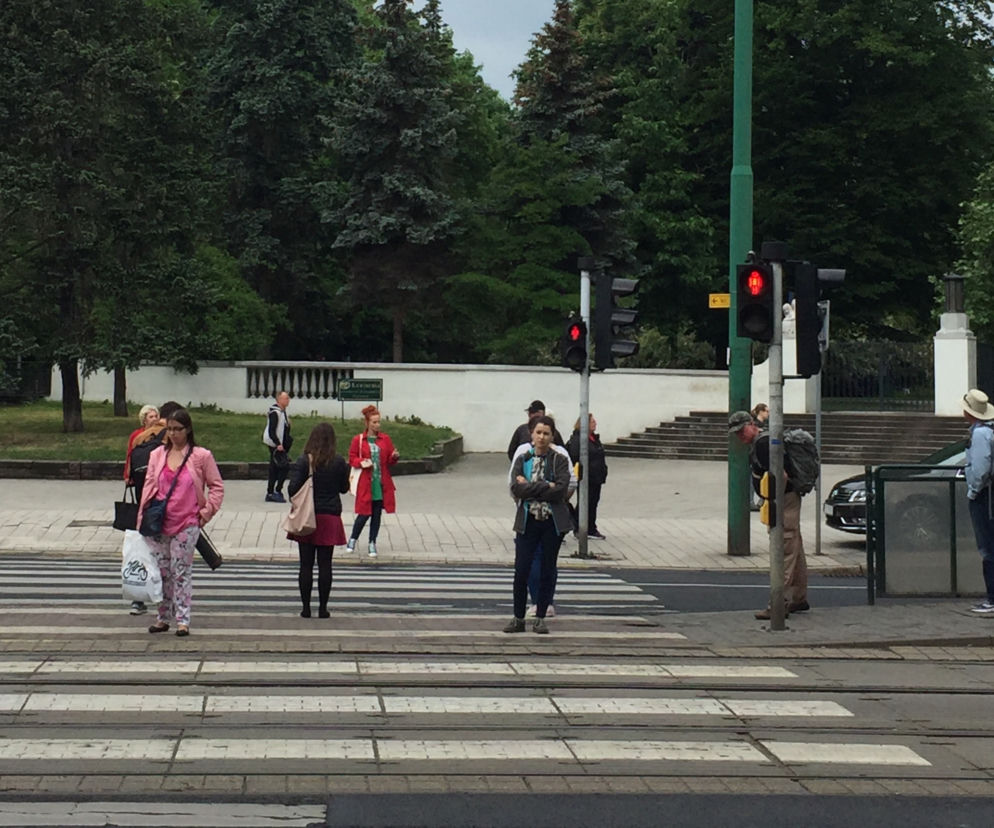Przejście dla pieszych Park Wilsona