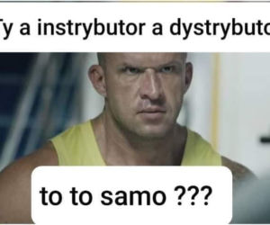 Instrybutor podbija internet