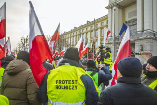 Bruksela zatrzyma brazylijskie mięso. Polscy hodowcy: „Mercosur to wciąż zagrożenie”