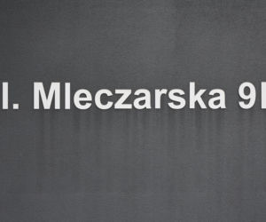 Warszawa, format: Deweloper postawił domy na Mleczarskiej. Cofnięto mu pozwolenie na budowę