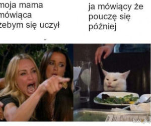 Memy z mamą w roli głównej 