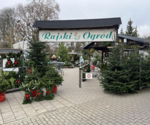 ESKA UBIERZE CI CHOINKĘ 2025