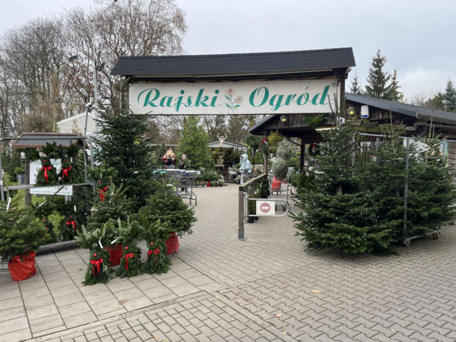 ESKA UBIERZE CI CHOINKĘ 2025