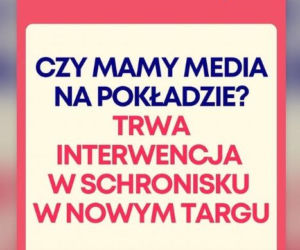 Doda musi wrócić do Polski? Właśnie to ogłosiła. Jest ważny powód