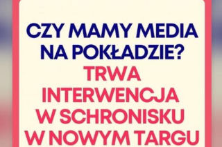 Doda musi wrócić do Polski? Właśnie to ogłosiła. Jest ważny powód