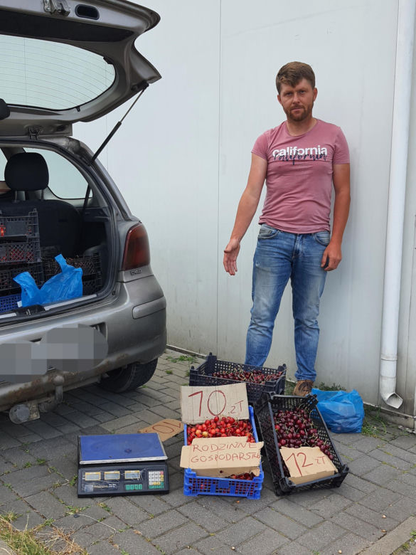 Jatka na warszawskim bazarze. Pobili mnie bo sprzedawałem czereśnie