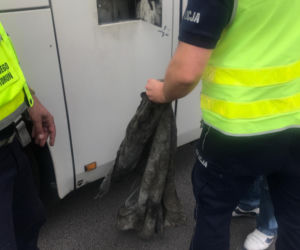 Niesprawnym autobusem chciał zawieźć dzieci do Gdyni. Przeszkodzili mu policjanci z Torunia