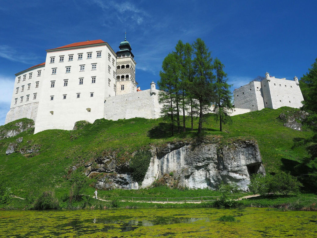 Szlak Orlich Gniazd
