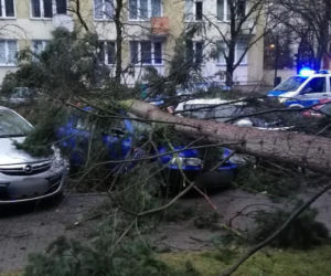 Dudley sieje zniszczenie w Warszawie. Powyrywane drzewa runęły na auta
