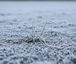 Zaginiona kobieta odnaleziona. Dramatyczna akcja ratunkowa w mrozie?