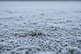 Zaginiona kobieta odnaleziona. Dramatyczna akcja ratunkowa w mrozie?