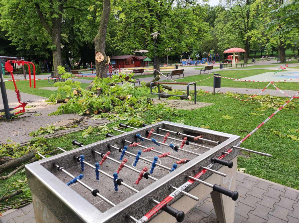 Tarnów. Dziewczynka uderzona przez zerwany konar. Koszmar na placu zabaw w Parku Strzeleckim