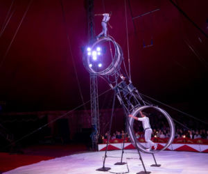 Festiwal w Cyrku Zalewski 2026. Oto zwycięzcy