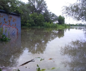 Sytuacja powodziowa w Toruniu - 31 maja
