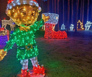 Lumina Park Bydgoszcz