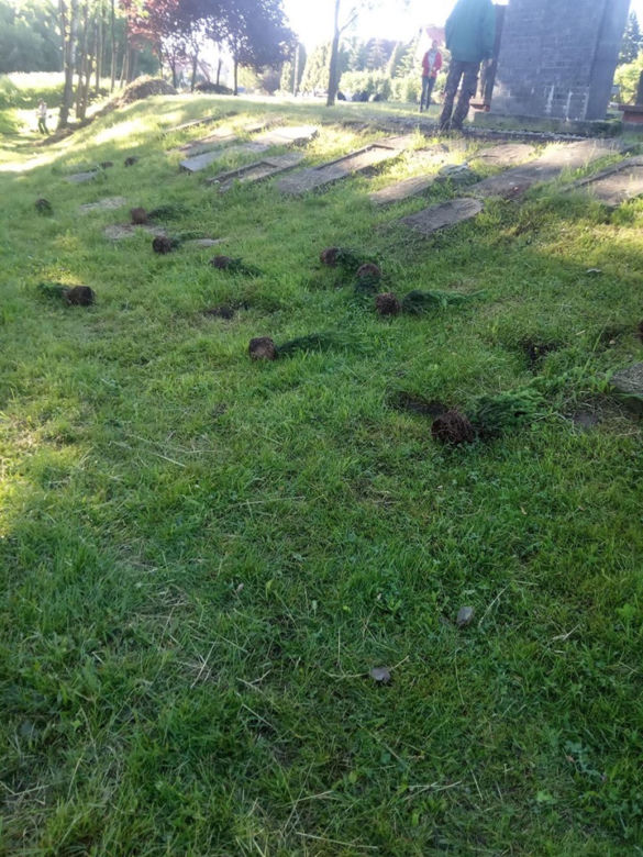 Dąbrowa Górnicza. OBRZYDLIWE zachowanie wandali na cmetarzu! Zobacz, co zrobili [ZDJĘCIA]