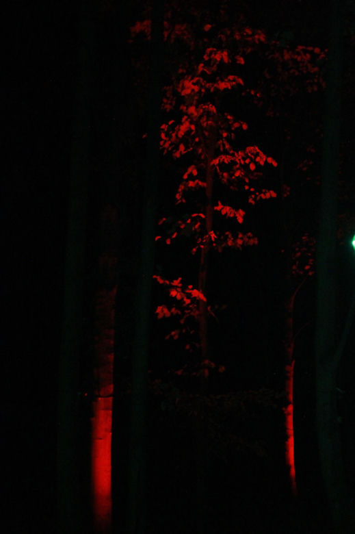 Byliśmy na otwarciu Lumina Park 2024 w Zamku Topacz