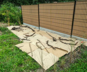 Ściółkowanie kartonami, trawą i gazetami