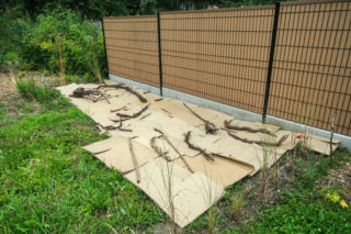 Sekret ogrodników: koniec z chwastami i suchą ziemią! Użyj trawy, gazet i kartonów