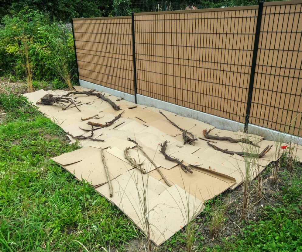 Ściółkowanie kartonami, trawą i gazetami