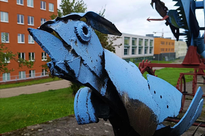 "Płonące Ptaki" w Koszalinie