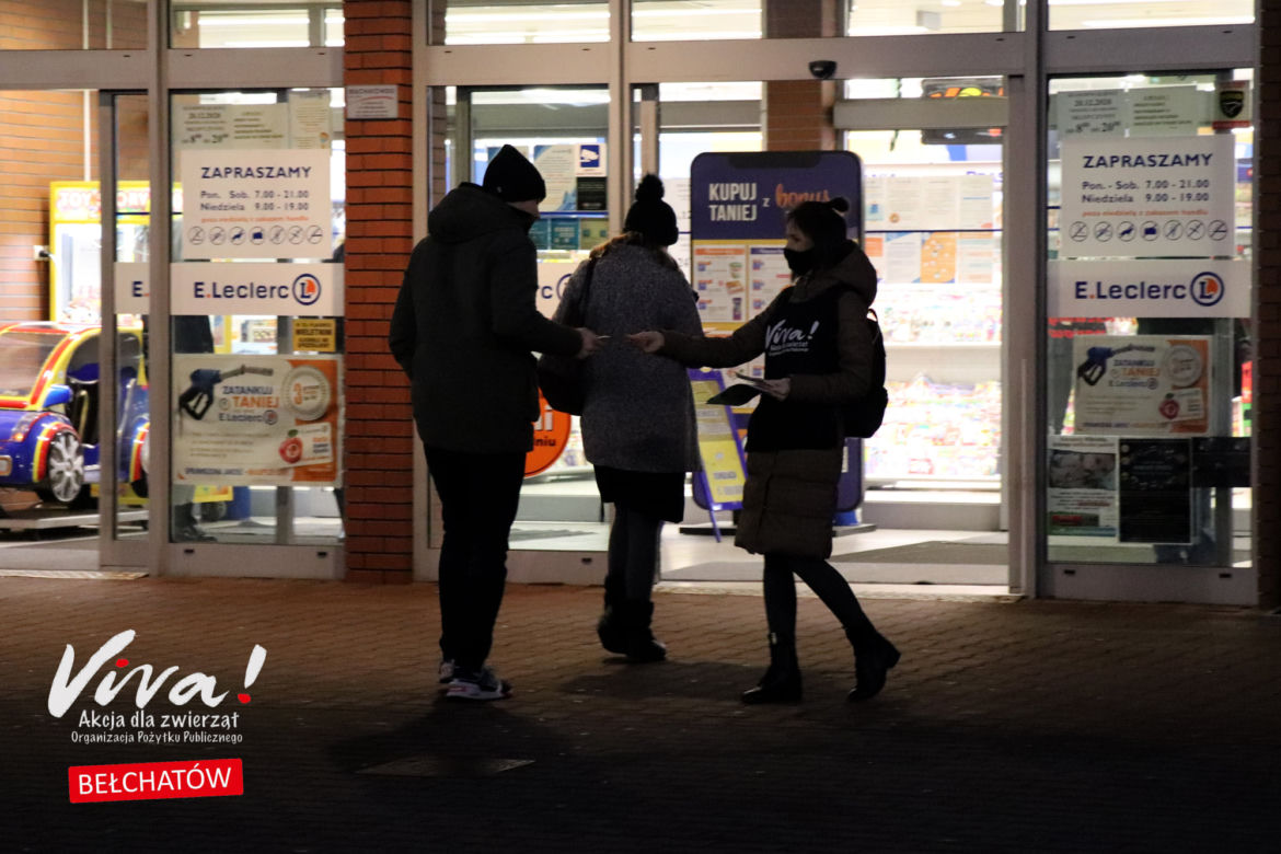 Bełchatów: Obrońcy zwierząt z akcją w markecie! 