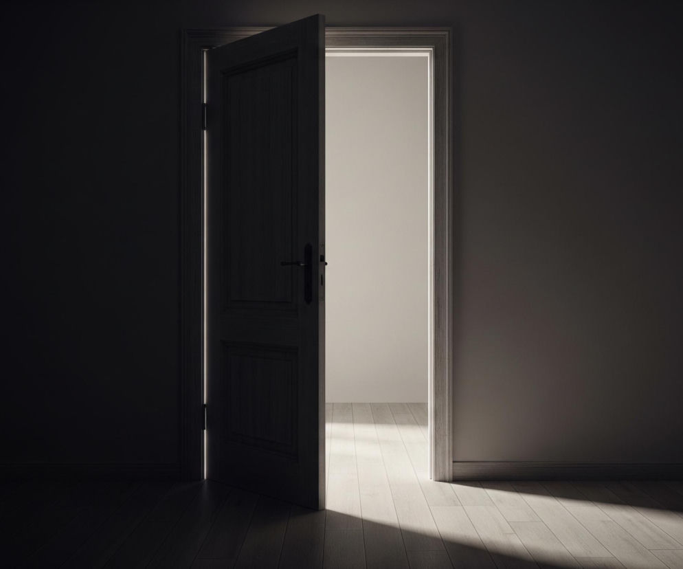 Ciemne pomieszczenie z podłogą z desek i gładkimi, grafitowymi ścianami, skąpane jest w półmroku, z wyjątkiem jasnego światła wpadającego przez uchylone drzwi. Drzwi, również ciemne, lekko uchylone w prawo, ukazują framugę i jasny, biały pokój za nimi, z jasną podłogą w deski. Światło zza drzwi rzuca długi, trapezoidalny cień na podłogę ciemnego pokoju, od lewego do prawego dolnego rogu.