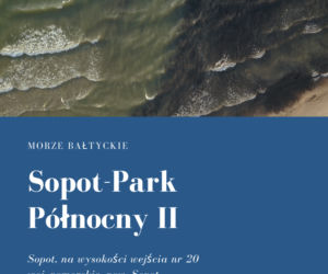 Sinice w Bałtyku 2021. Te kąpieliska są zamknięte. Woda ma kolor zielony!