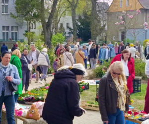 Pchli targ na Pogodnie