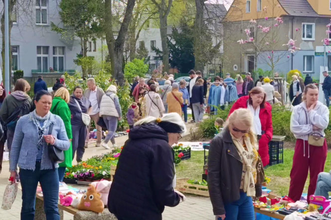 Pchli targ na Pogodnie