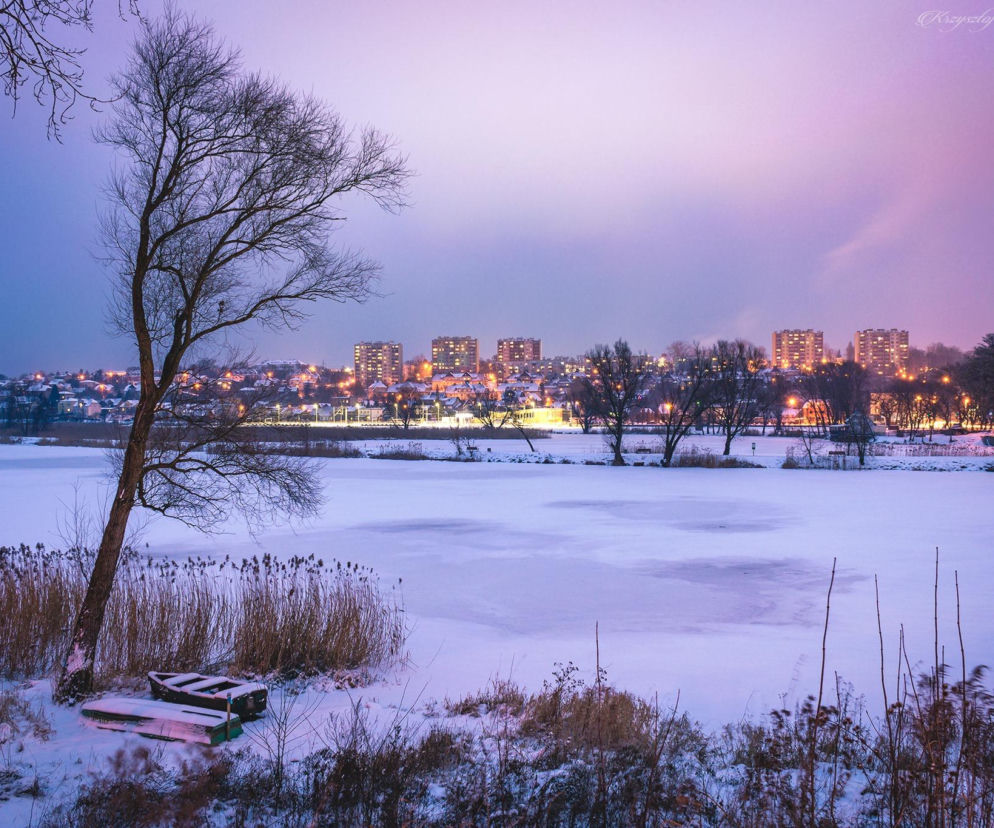 Kolejna rewolucja nad Pasternikiem? Miasto odpowiada na apel radnego 