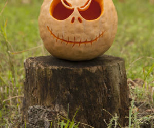 Dynie na Halloween